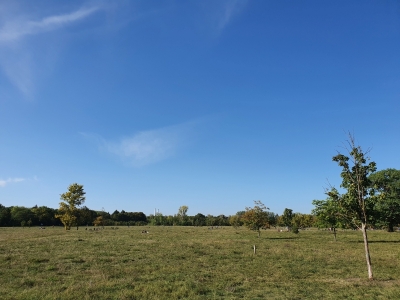 Wuhlheide 3920_12