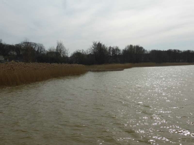 Schmachter See Binz 1316_15