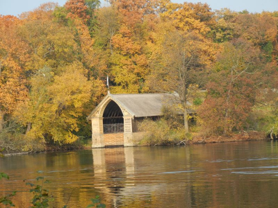 Pfaueninsel