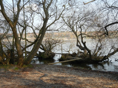 Wannsee_12