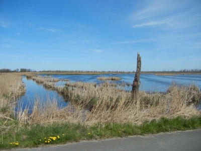 Radweg Bugewitz-Karnin Stettiner Haff_19