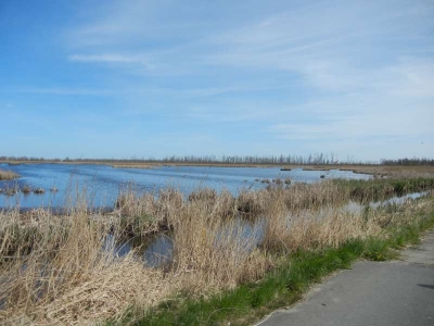 Radweg Bugewitz-Karnin Stettiner Haff_20