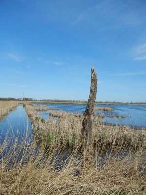 Radweg Bugewitz-Karnin Stettiner Haff_23