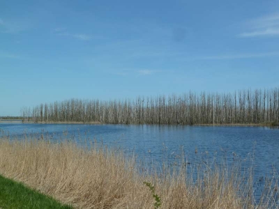Radweg Bugewitz-Karnin Stettiner Haff_30
