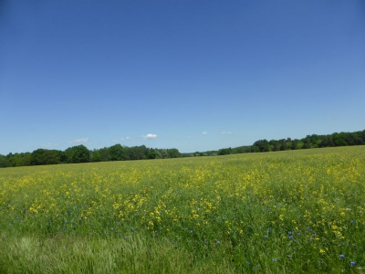 Radweg Krackow-Löcknitz 317_08