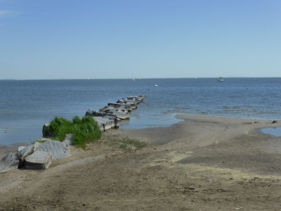 Ueckermünder Strand 317_18