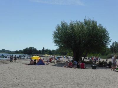 Ueckermünder Strand 317_23