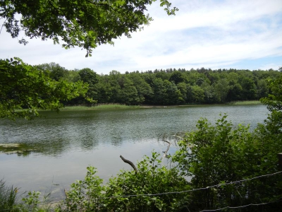 Grunewaldsee_03
