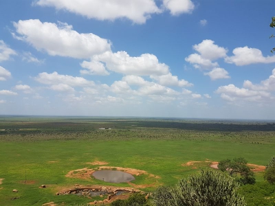 Voi Safari Lodge18