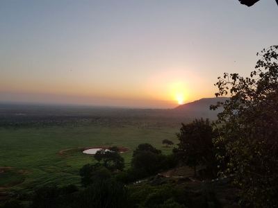 Voi Safari Lodge18_05