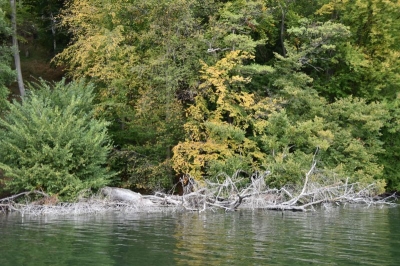 Breiter Luzin 4120_10