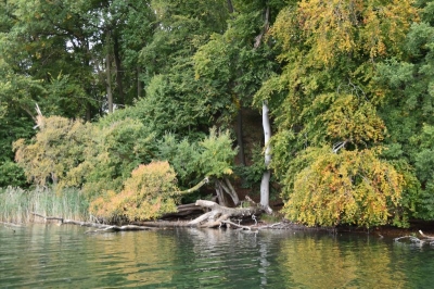 Breiter Luzin 4120_11