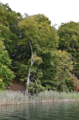 Breiter Luzin 4120_12