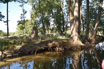 Feldberger Haussee 4120_21