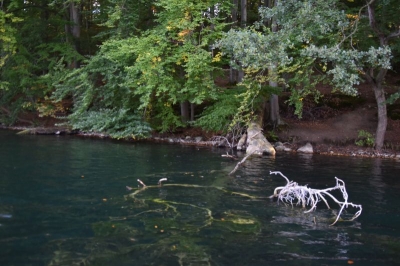 Schmaler Luzin 4120_13