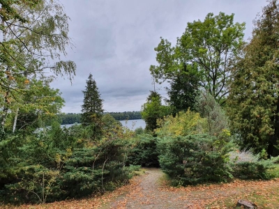 Hans Fallada Begräbnisstätte 4120_04