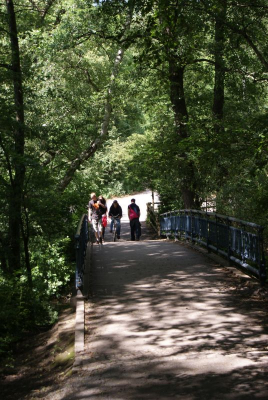 Krumme Lanke Berlin Zehlendorf_28