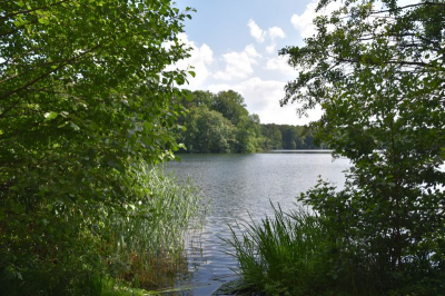 Schlachtensee 4021_06
