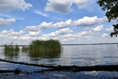Müggelsee 2521_10