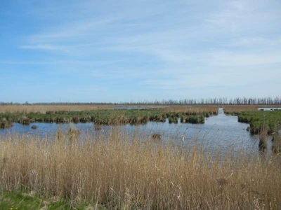 Radweg Bugewitz-Karnin Stettiner Haff_27