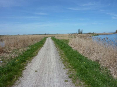 Radweg Bugewitz-Karnin Stettiner Haff_32