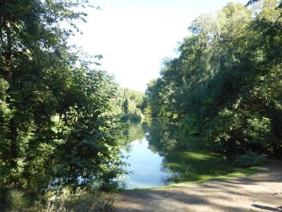 Großer Tiergarten 3918_13