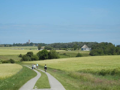 Radweg  Kap Arkona Rügen_12