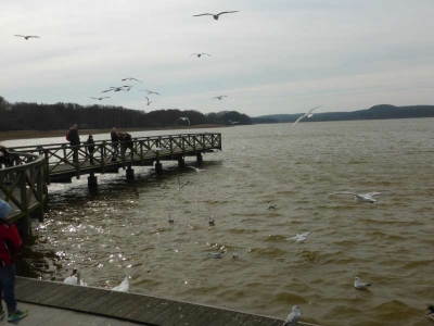 Schmachter See Binz 1316_09