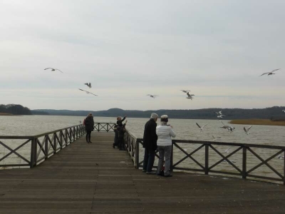 Schmachter See Binz 1316_10