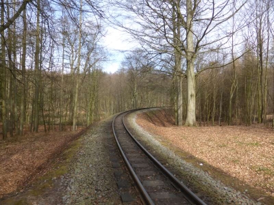 Buchenwald Granitz 1316_03