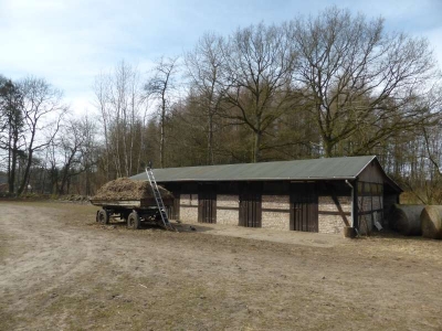 Kutschstation Granitz 1316_03