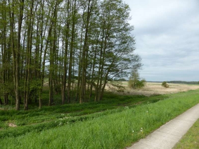 Radweg Bützow-Güstrow Kanal1814_10