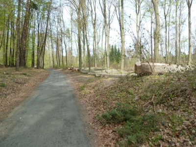 Radweg Korswandt Usedom-Ahlbeck