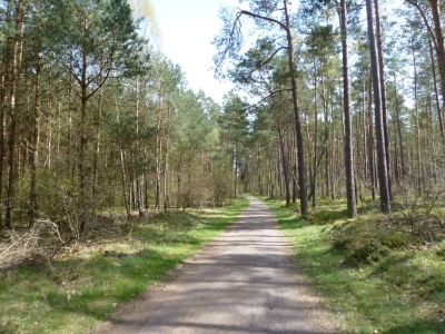 Radweg Usedom Stadt-Korswandt