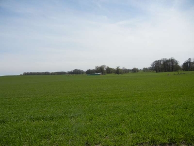 Radweg Usedom Stadt-Korswandt_14