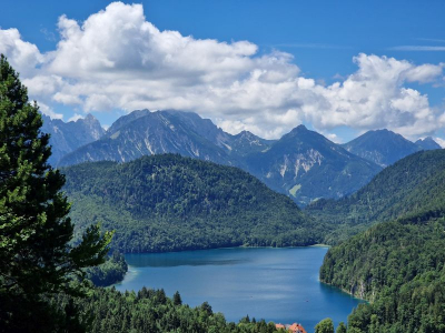 Wald und Seen 2622