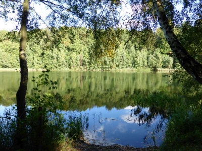 Großer Lankesee bei Liebenberg10.13_06