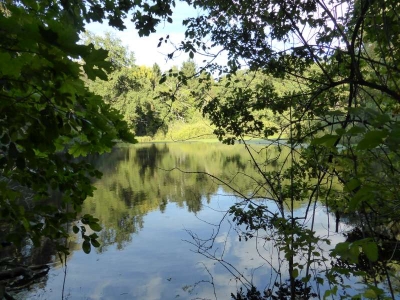 Radweg Löwenberg- Liebenberg10.13_26