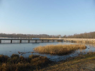 Kremmener See 715_07