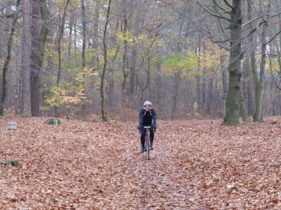 Naturlehrpfad Briesetal Birkenwerder11.13_05