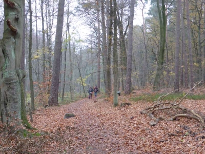 Naturlehrpfad Briesetal Birkenwerder11.13_15