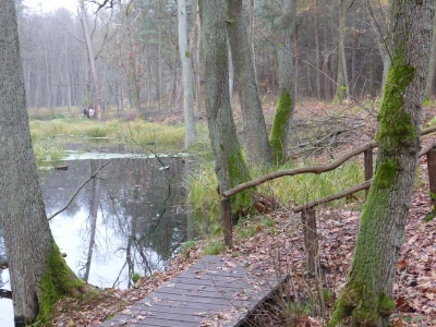 Naturlehrpfad Briesetal Birkenwerder11.13_41