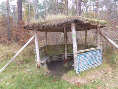 Naturlehrpfad Briesetal Birkenwerder11.13_58