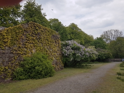 Schillerpark Berlin Mitte 1917