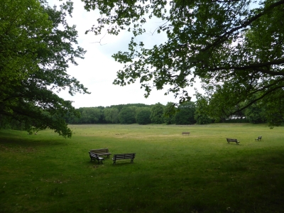 Volkspark Rehberge Berlin Wedding 2316_22
