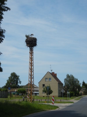 Storchennest in Linum