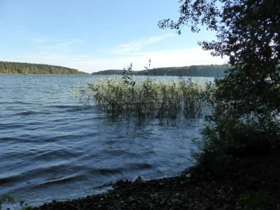 Großer Pälitzsee Zerlang10.13_03