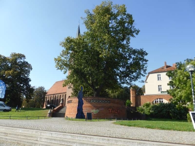 Seepromenade Neuruppin 40.14_13