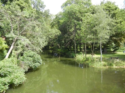 Rhin in Fehrbellin