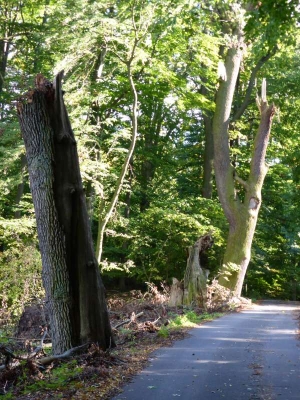 Radweg Löwenberg- Liebenberg10.13_32